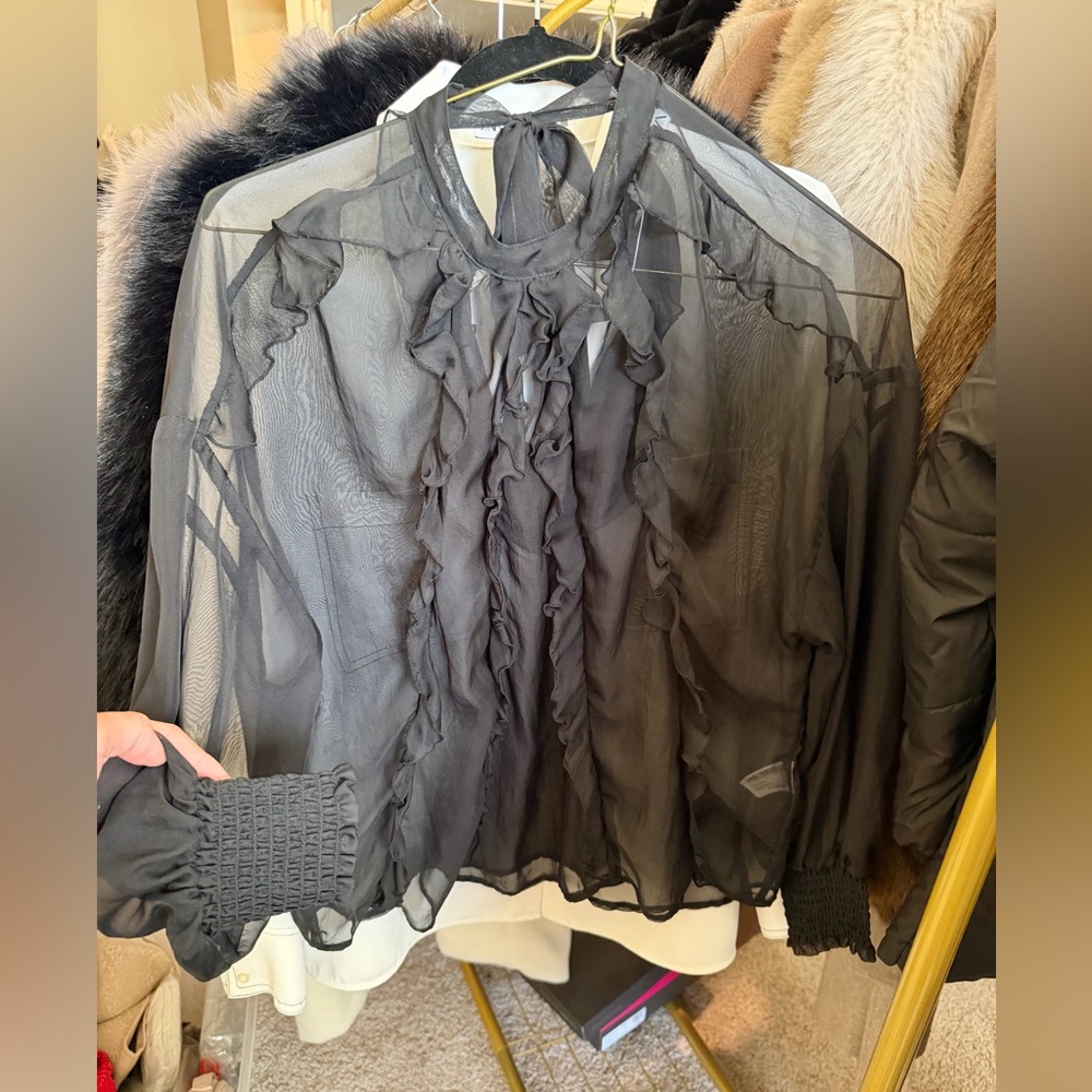 Zara NWT black ruffle long sleeve sheer mesh blouse